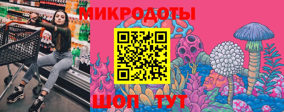 Галлюциногенные грибы Cubensis Ачхой-Мартан
